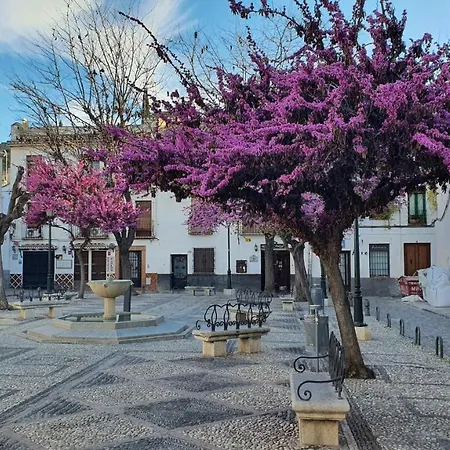 Aparthotel Casa Morena Mia *