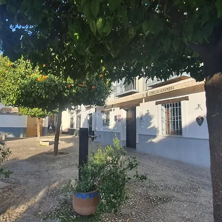 Apart-hotel Casa Morena Mia